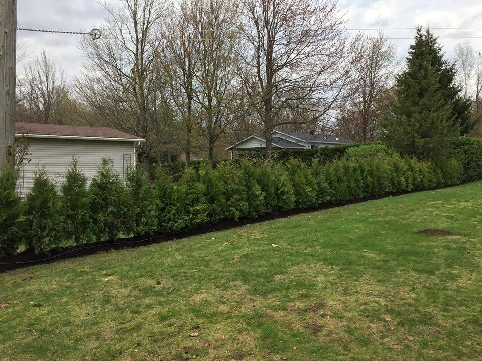 Une cour verdoyante avec une clôture et une maison en arrière-plan.