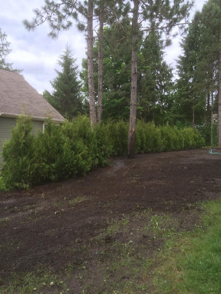 Il y a une maison en arrière-plan et beaucoup de terre au premier plan.