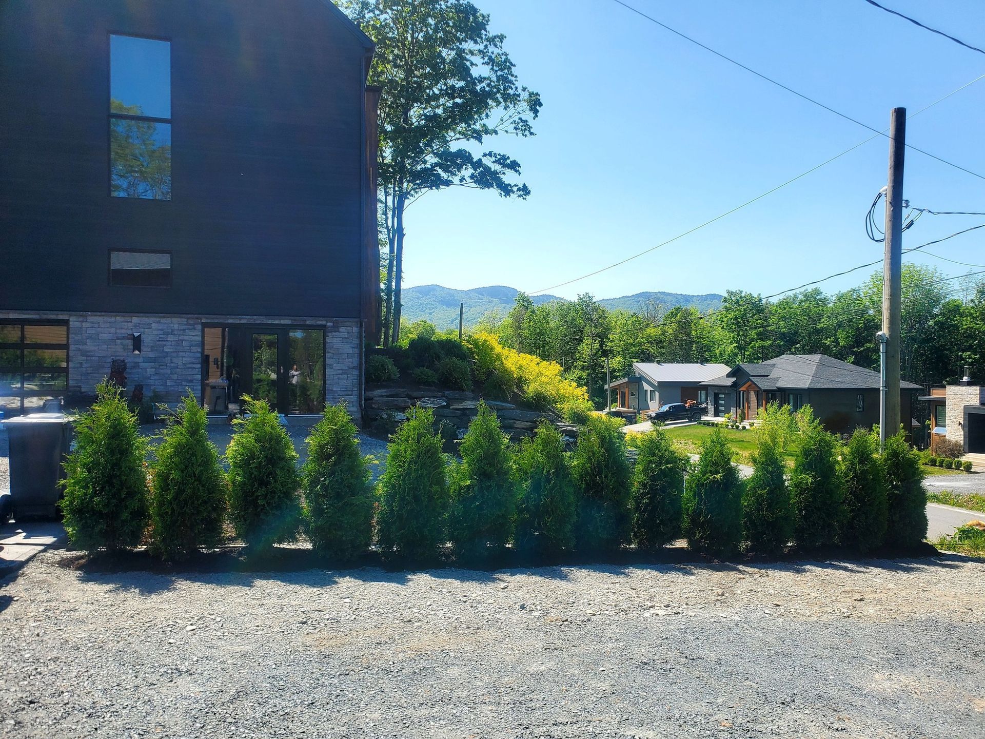 Rangée de conifères verts devant un bâtiment moderne et sombre, sol de gravier, journée ensoleillée.