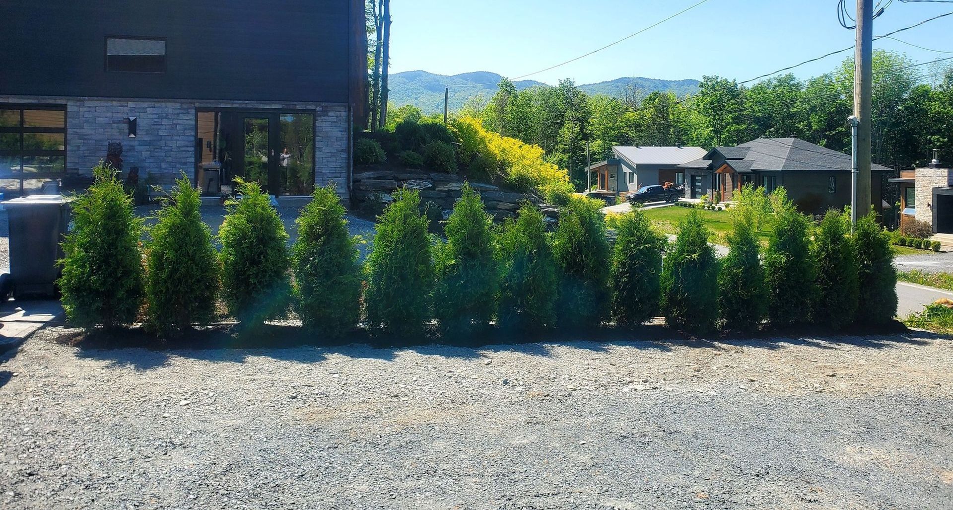 Une rangée d'arbres dans une zone de gravier devant une maison