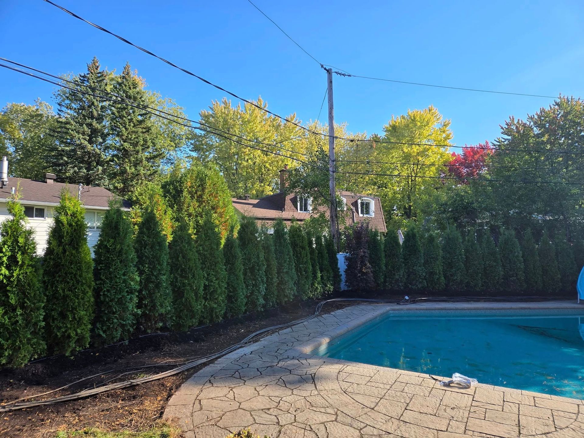 Une piscine entourée d'arbres dans une cour arrière