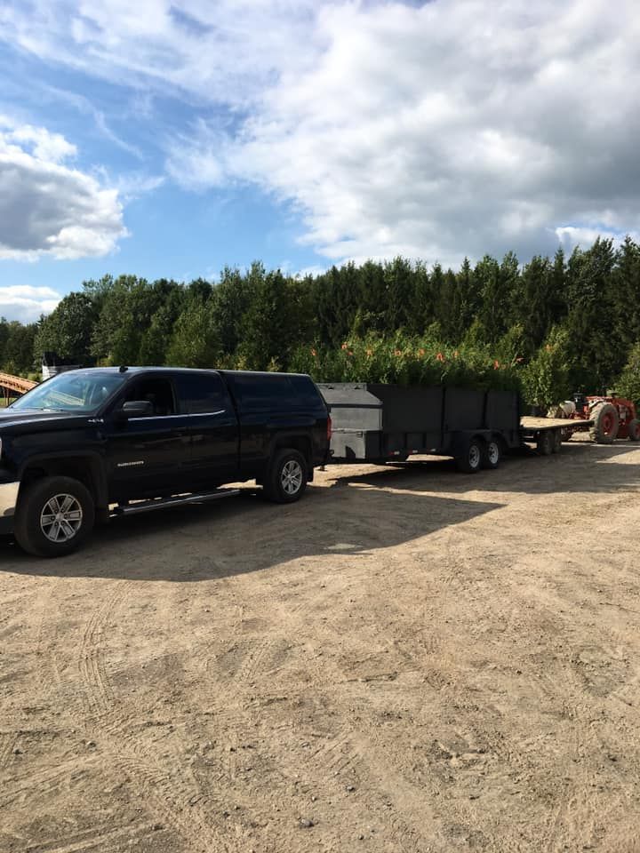 Un camion noir tracte une remorque chargée de feuillage vert sur un terrain vague sous un ciel nuageux.
