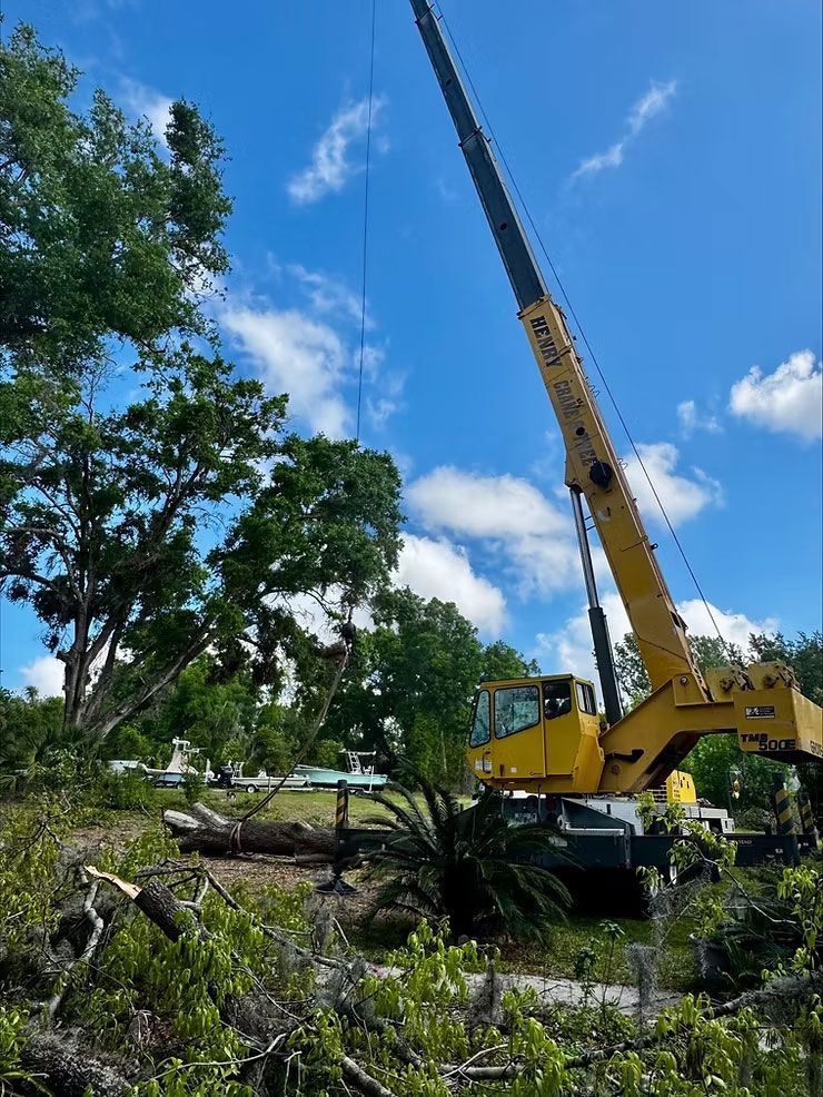 Licensed Tree Service with Crane Assistance in Central Florida