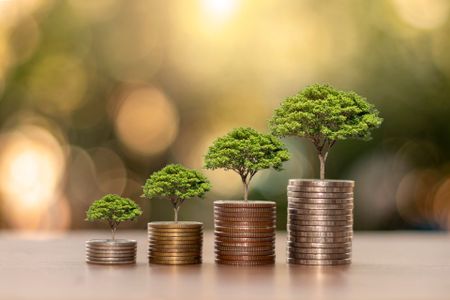 Plants Grow On Piles Of Coins | Columbus, OH | Life Wealth Solutions