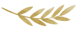 A close up of a gold leaf on a white background.