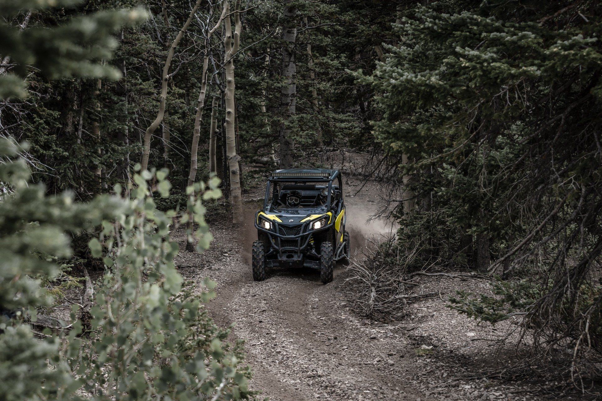 UTV on a forest trail