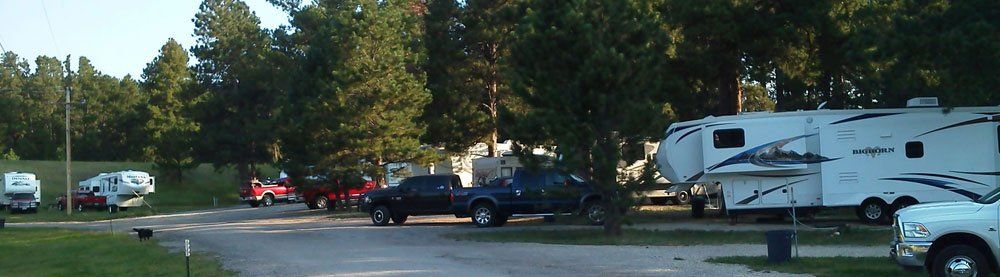 Vehicles parked on campground