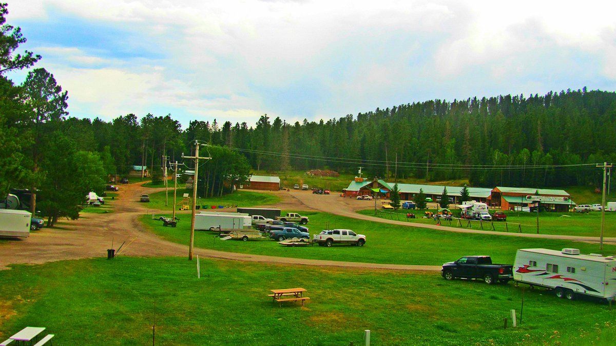 Spacious green field with parked cars and RVs