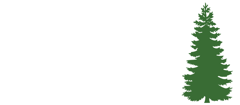 Recreational Springs Logo