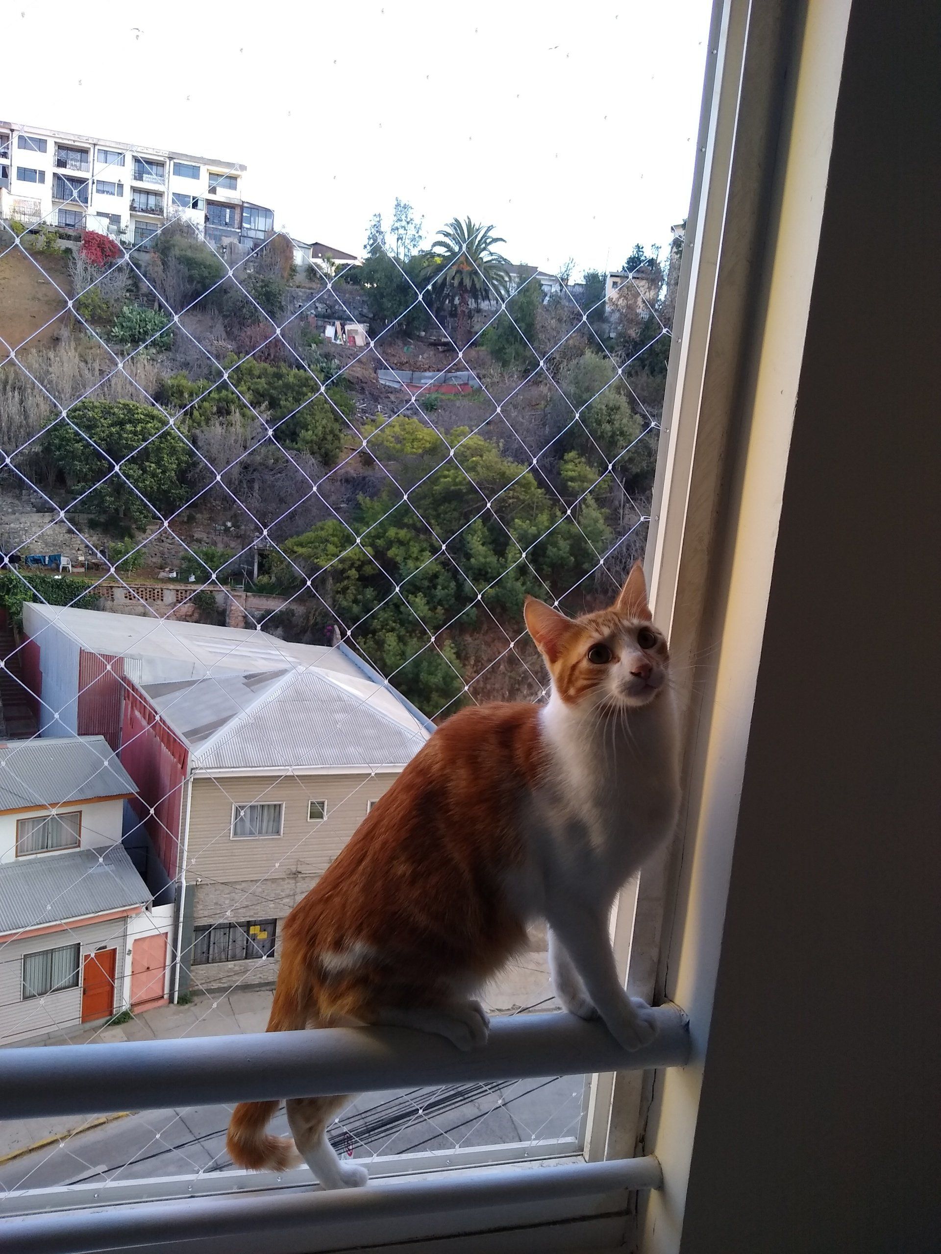 EYG Seguridad - MALLAS