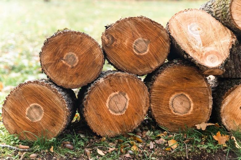 A pile of logs stacked on top of each other in the grass.