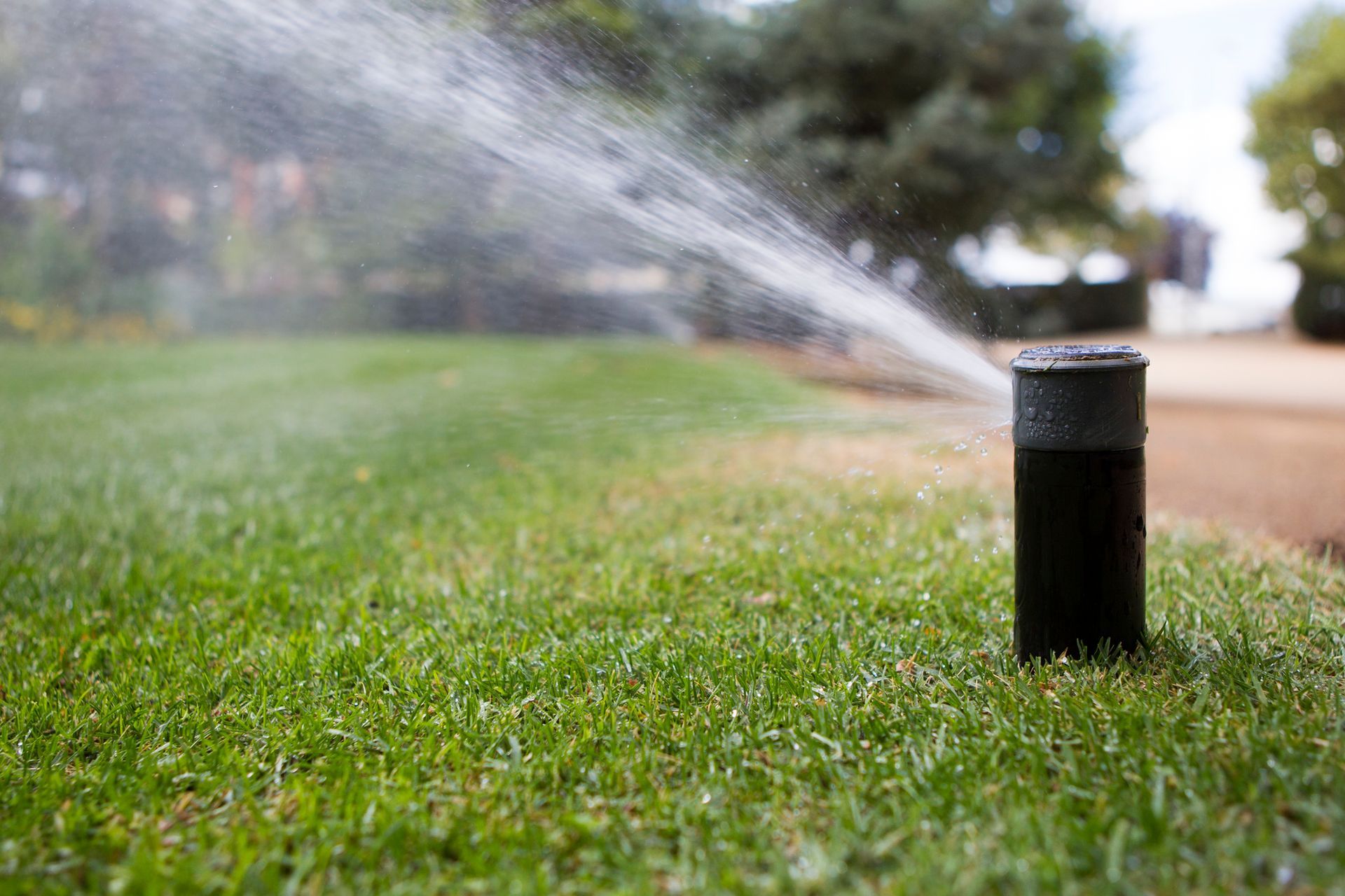 Sprinkler Installation in Frisco, TX