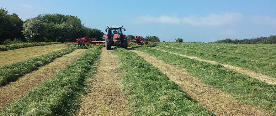 Hybrid 4x4 Hybrid 4x4