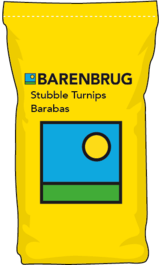Stubble Turnips