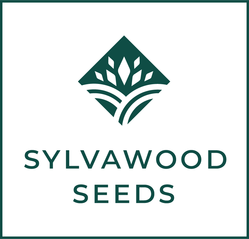 Sylvawood Seeds
