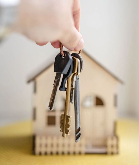 A person is holding a bunch of keys in front of a small wooden house.