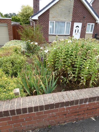 bungalow refurbishment massive extension grand design main room one coat render finish grp fiberglass roof by buildjunky.com