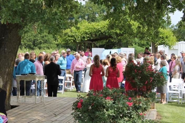 outdoor wedding at waddell vineyards