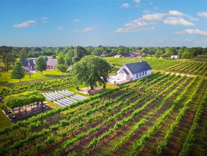 aerial view of waddell vineyards