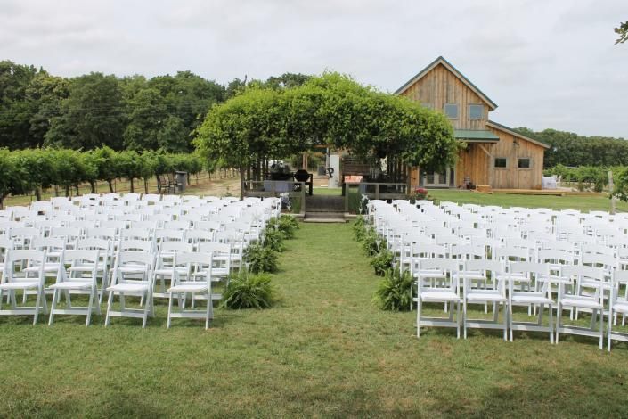vineyard wedding