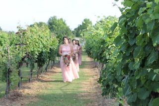 bridesmaids walking through vineyard