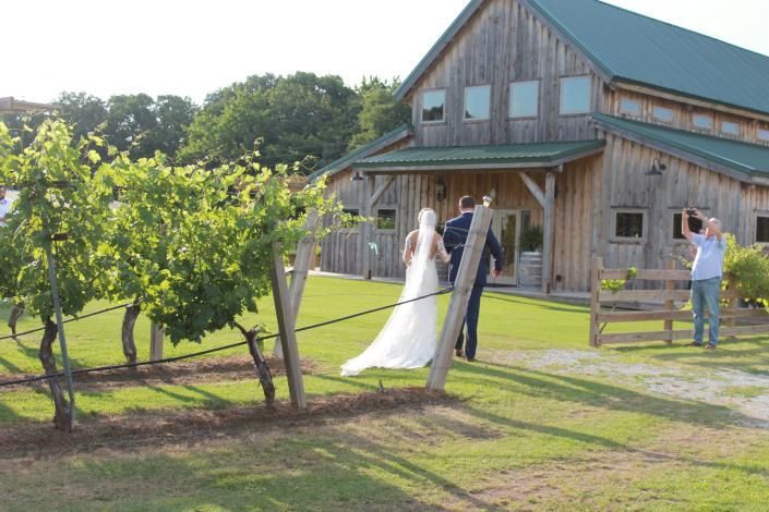 bride and groom at vineyard wedding