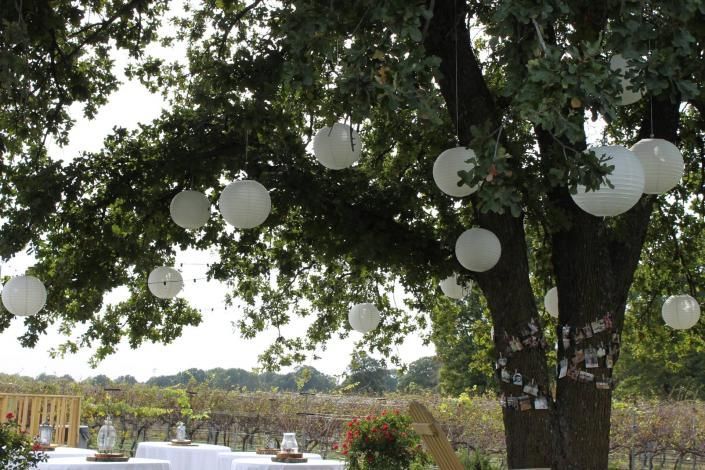 paper lanterns in tree for outdoor wedding