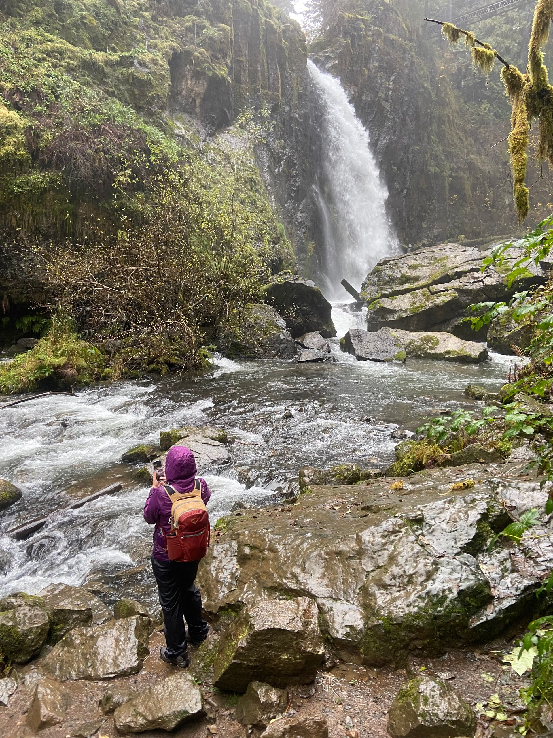 Angela is standing next to a waterfall in the woods.