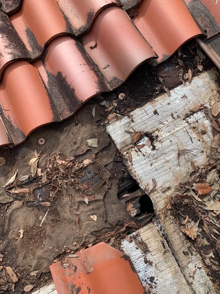Close-up of a damaged terracotta tile roof with visible wood rot and debris.
