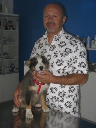 veterinario con cane dopo una visita