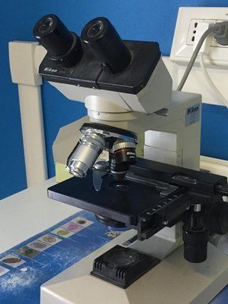 microscopio in ambulatorio veterinario