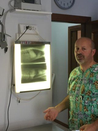 radiografia animale domestico