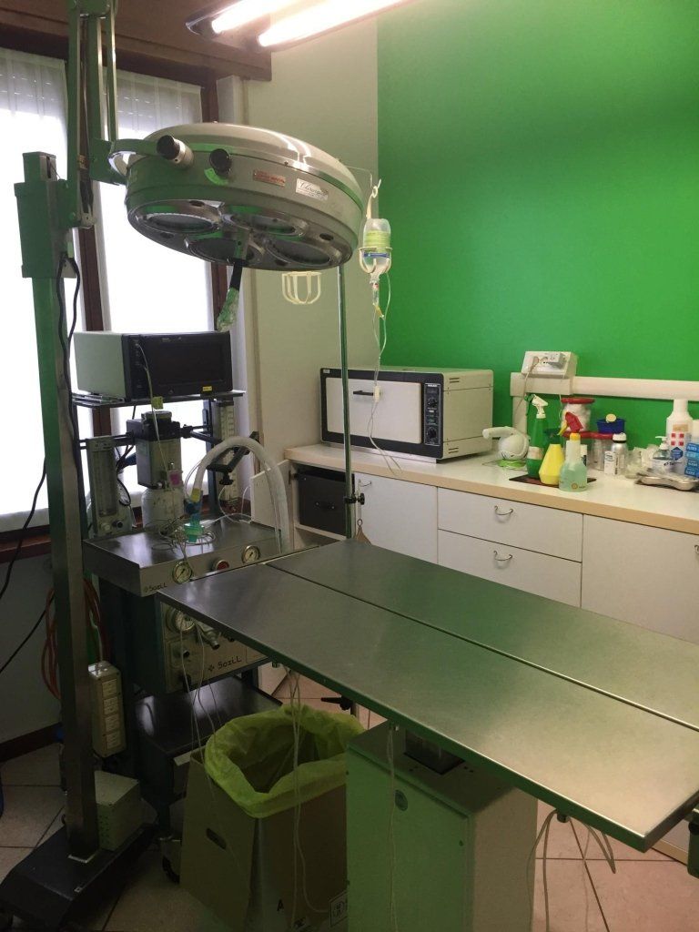 tavolo nello studio di un veterinario