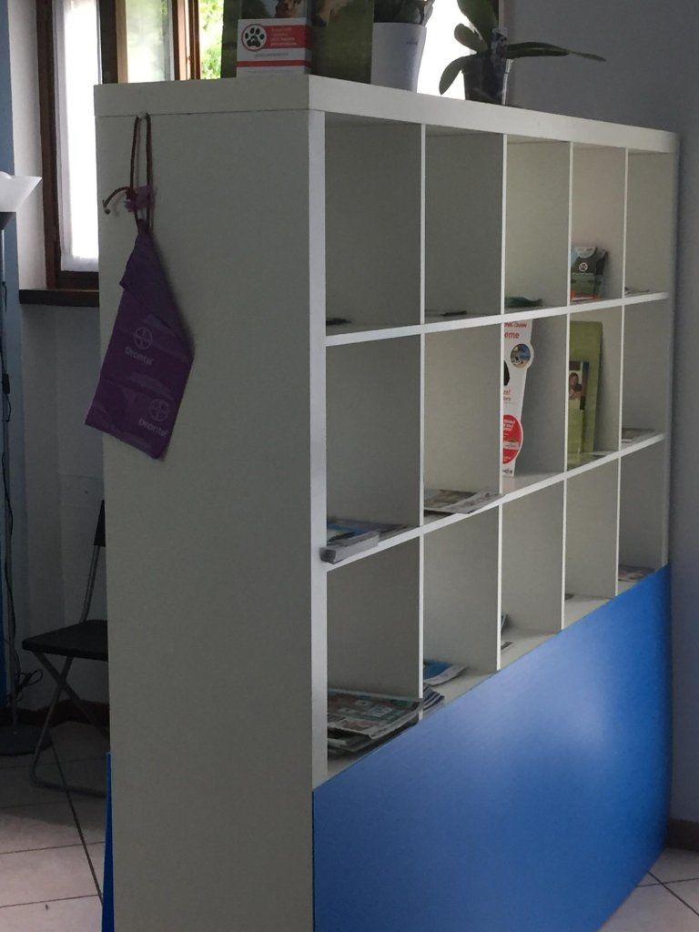 sala d'attesa studio veterinario