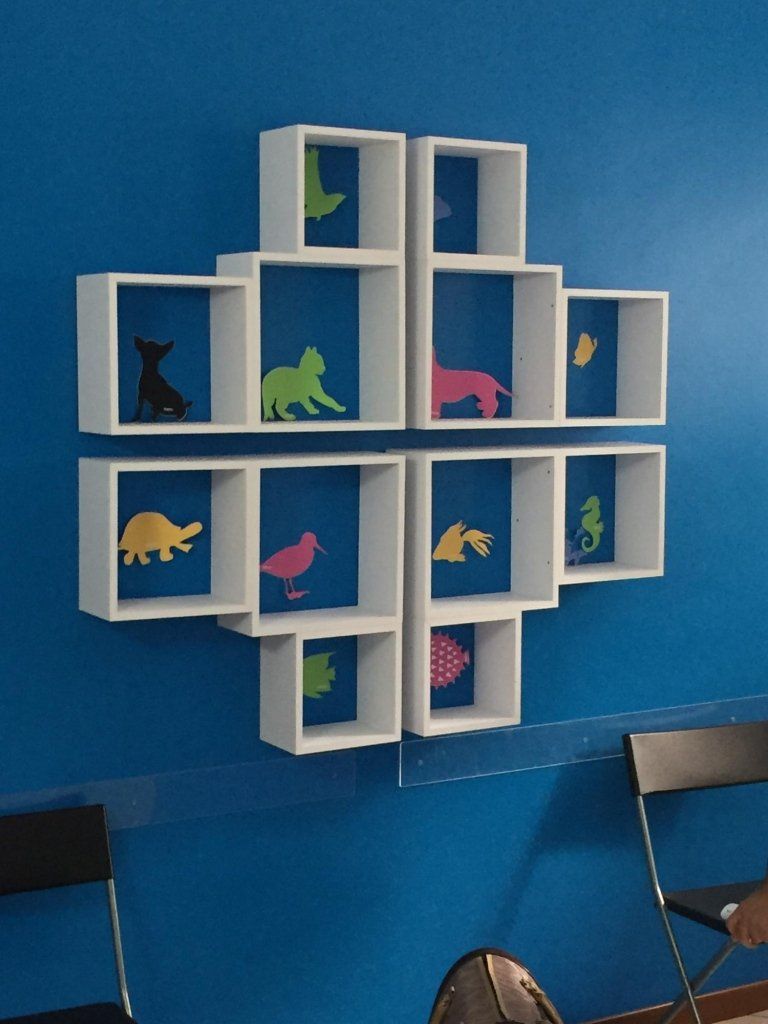 arredamento studio di un veterinario