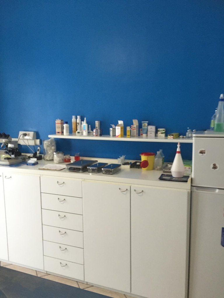 strumenti medici veterinari