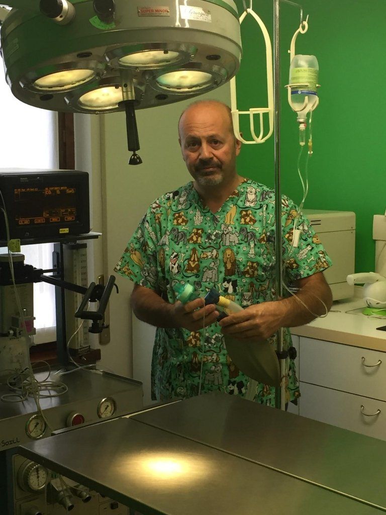 veterinario in sala operatoria
