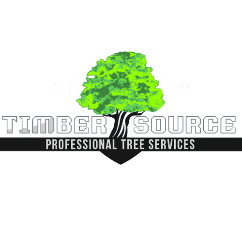 Timber Source logo: a green tree with 