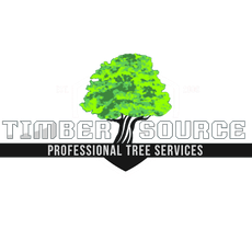 Timber Source logo: a green tree with