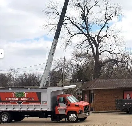 A tree removal truck with a crane near a building and a leafless tree.