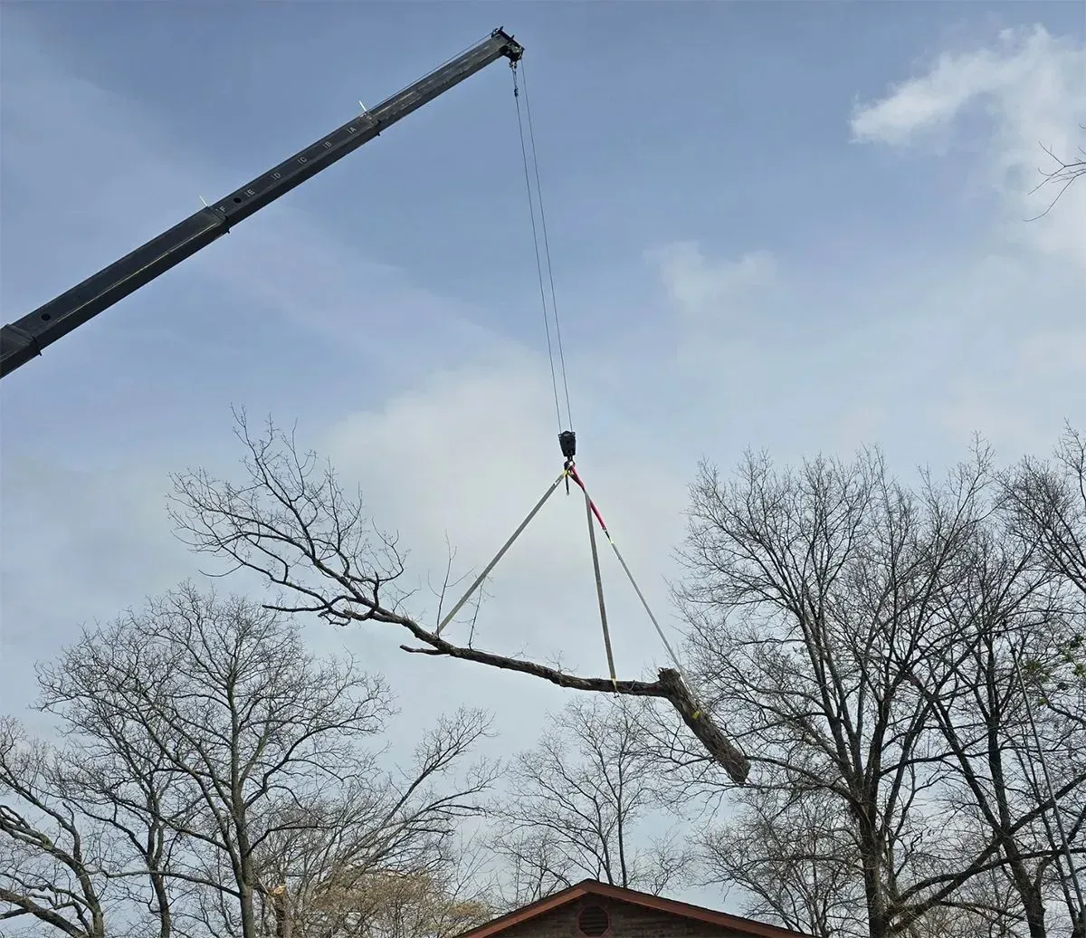 A crane lifting a large tree branch against a cloudy sky.