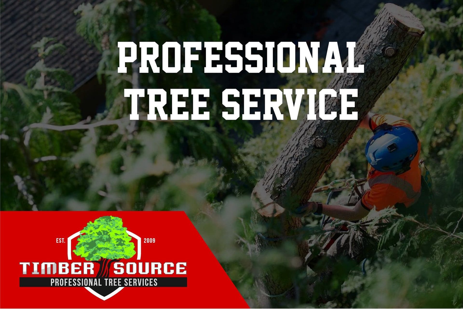 Professional tree service worker cutting a tree. Orange vest and hardhat, Timber Source logo.