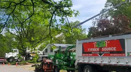 Tree removal crew with truck and machinery; trimming trees near a house.