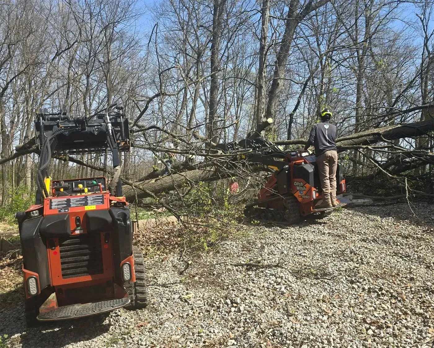 Two orange skid steer loaders clearing fallen tree branches on a gravel path in a wooded area.
