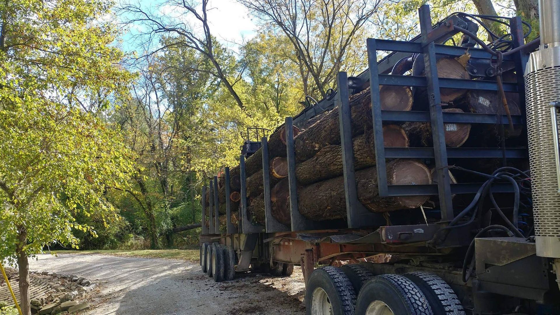 Log truck loaded with logs on a gravel road, trees in the background.