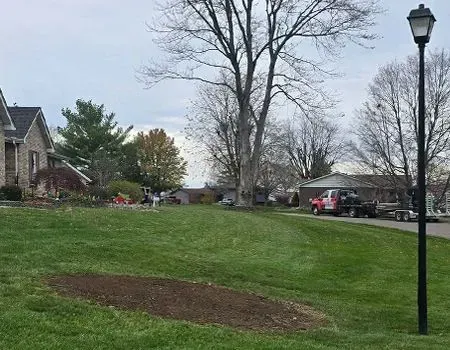 Grassy residential yard with a bare patch, a large tree, houses, a truck, and a streetlamp under a cloudy sky.