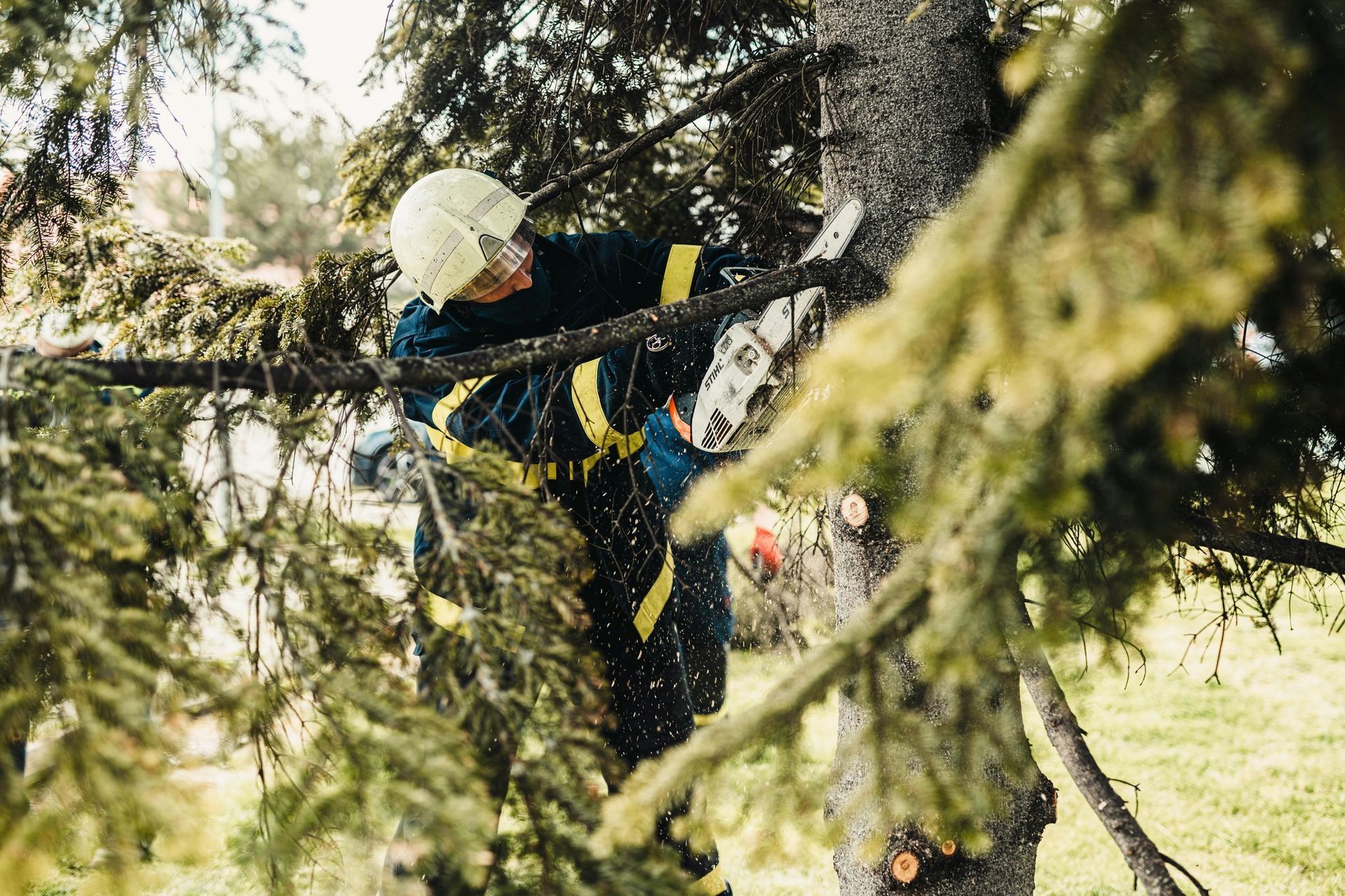 Firefighter in protective gear using a chainsaw to cut a tree branch.