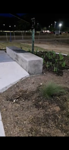 Concrete bench in a park at night with a street in the background.