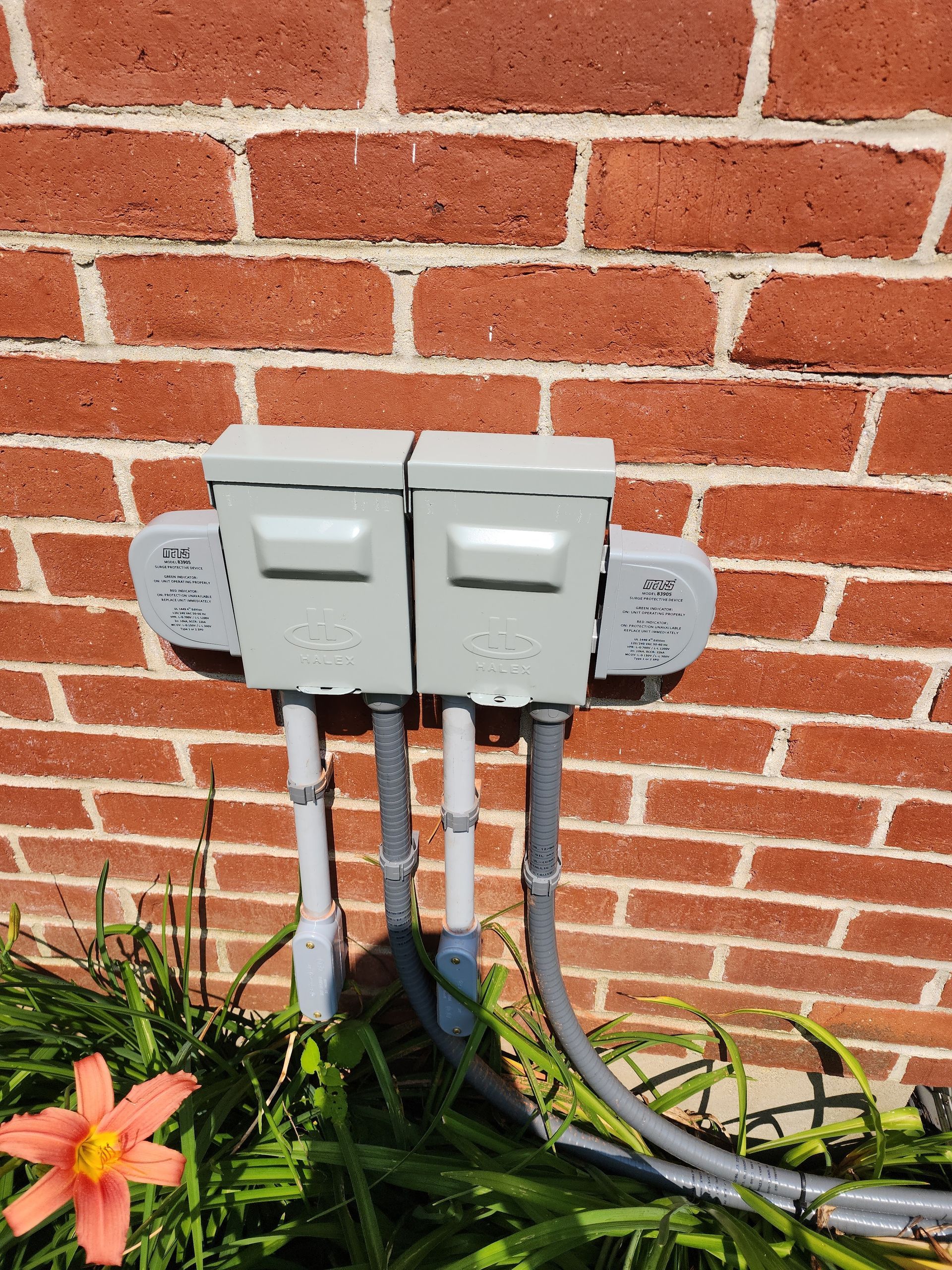 Two gray electrical boxes mounted on a red brick wall, with gray conduit pipes and a flower in the foreground.