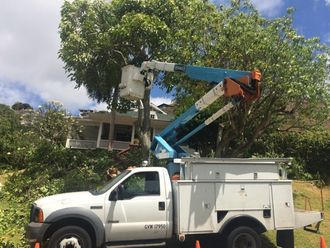 Tree being chopped from crane by Sherwood's Tree Service professionals